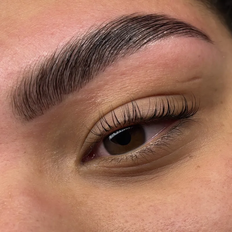 Close-up van perfect gestylede wenkbrauwen