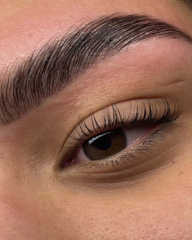 Close-up van perfect gestylede wenkbrauwen